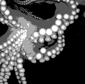 posterizecropped octo